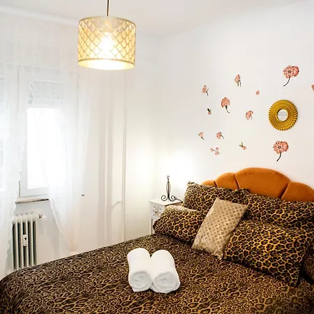 Vut 14 Grillos * サラマンカ